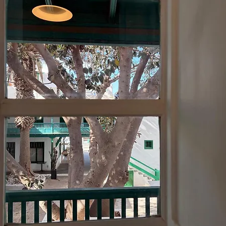 Apartment Oasis De Cesar- Arquitectura Manriquena *